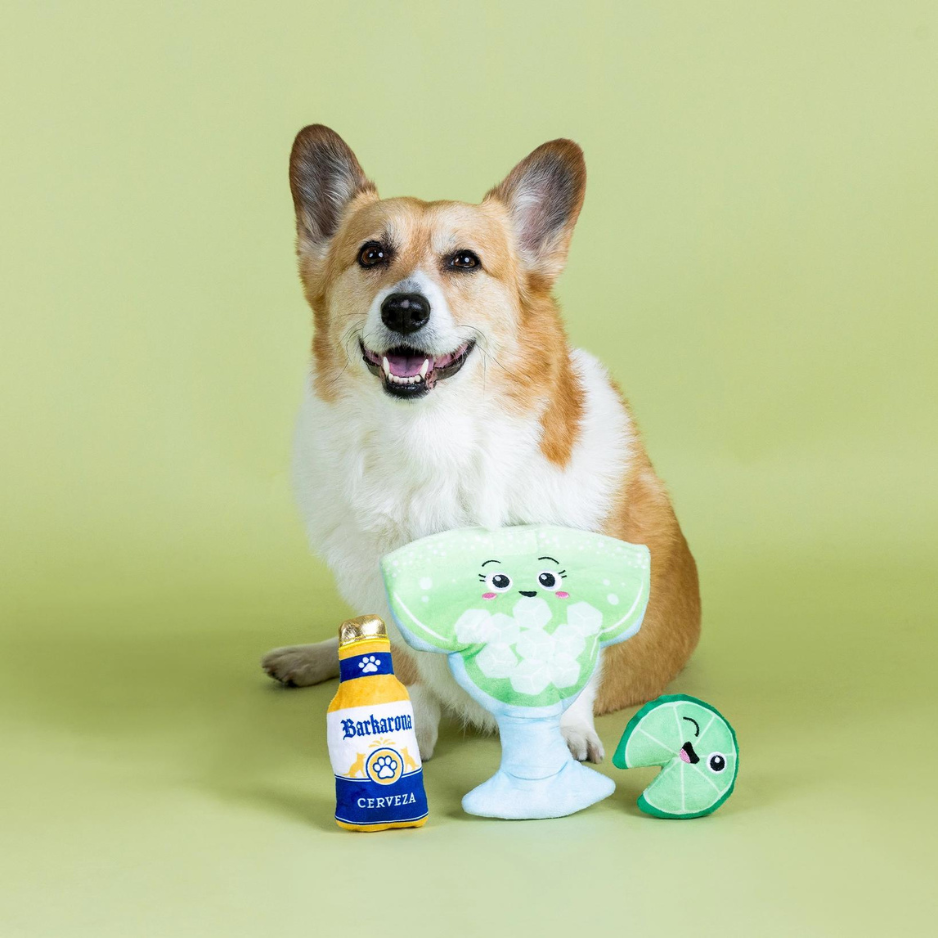 Pet Shop by Fringe Studio Drop Me a Lime Burrow Dog Toy