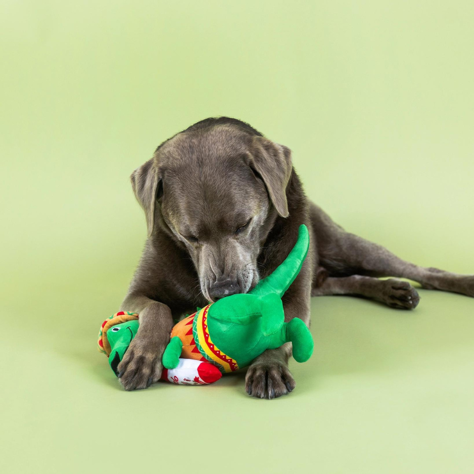 Pet Shop by Fringe Studio Fiesta Saurus Plush Dog Toy
