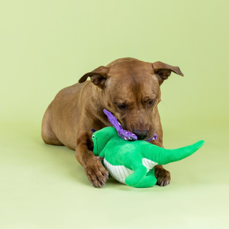 Pet Shop by Fringe Studio Flutter Rex Plush Dog Toy