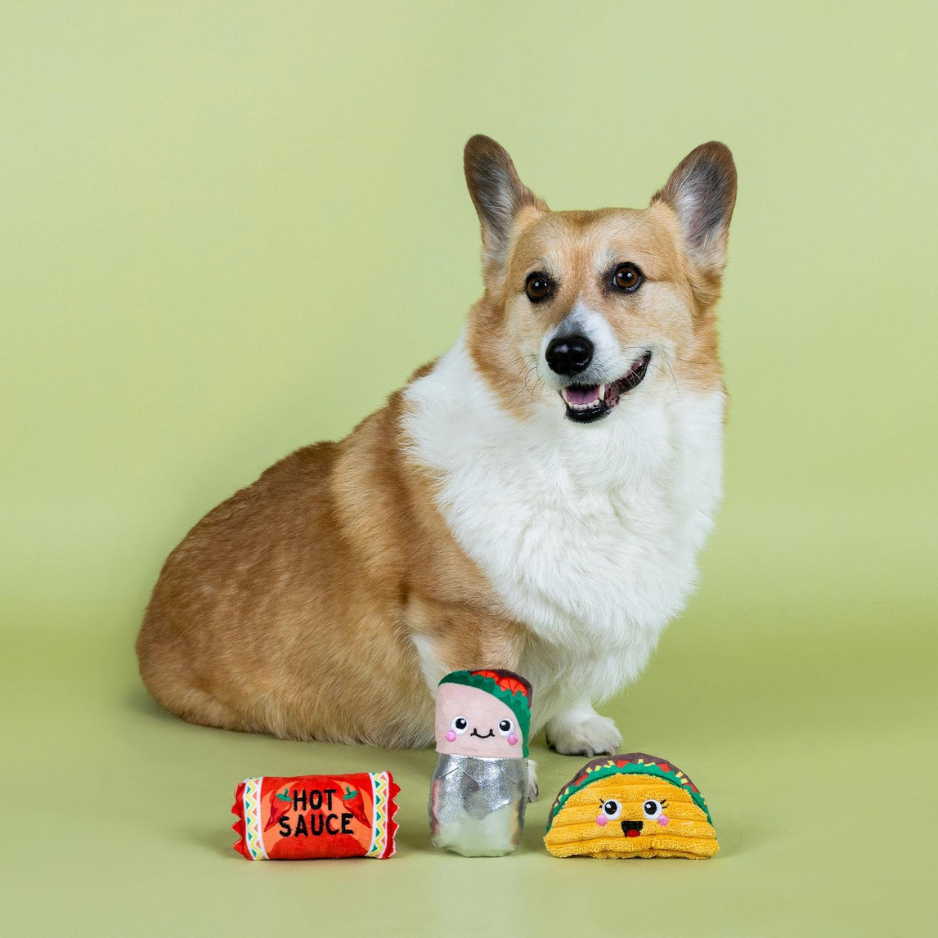Pet Shop by Fringe Studio I Got the Hot For You Plush Small Dog Toy 3pk
