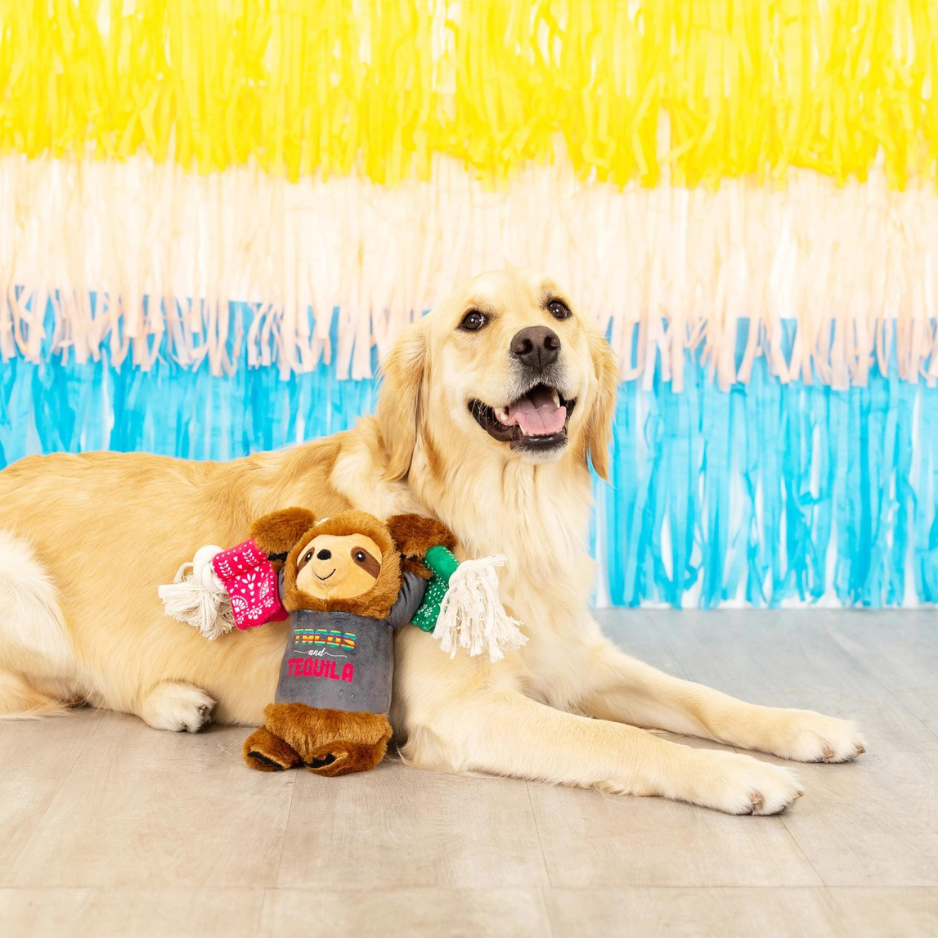 Pet Shop by Fringe Studio Tacos & Tequila Plush Dog toy