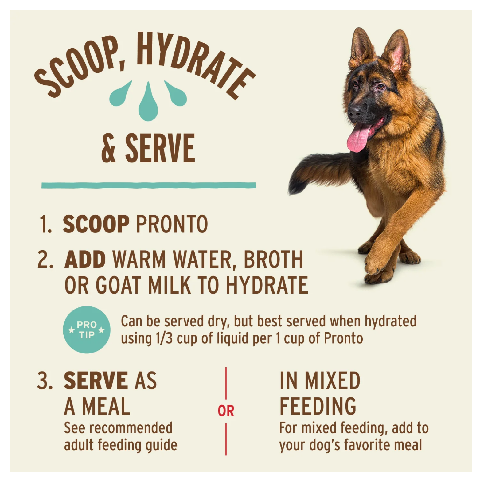 Instruction graphic titled “Scoop, Hydrate & Serve,” explaining steps to scoop Pronto, add warm water, broth, or goat milk to hydrate, and serve as a meal or mixed feeding, with a German Shepherd dog pictured.