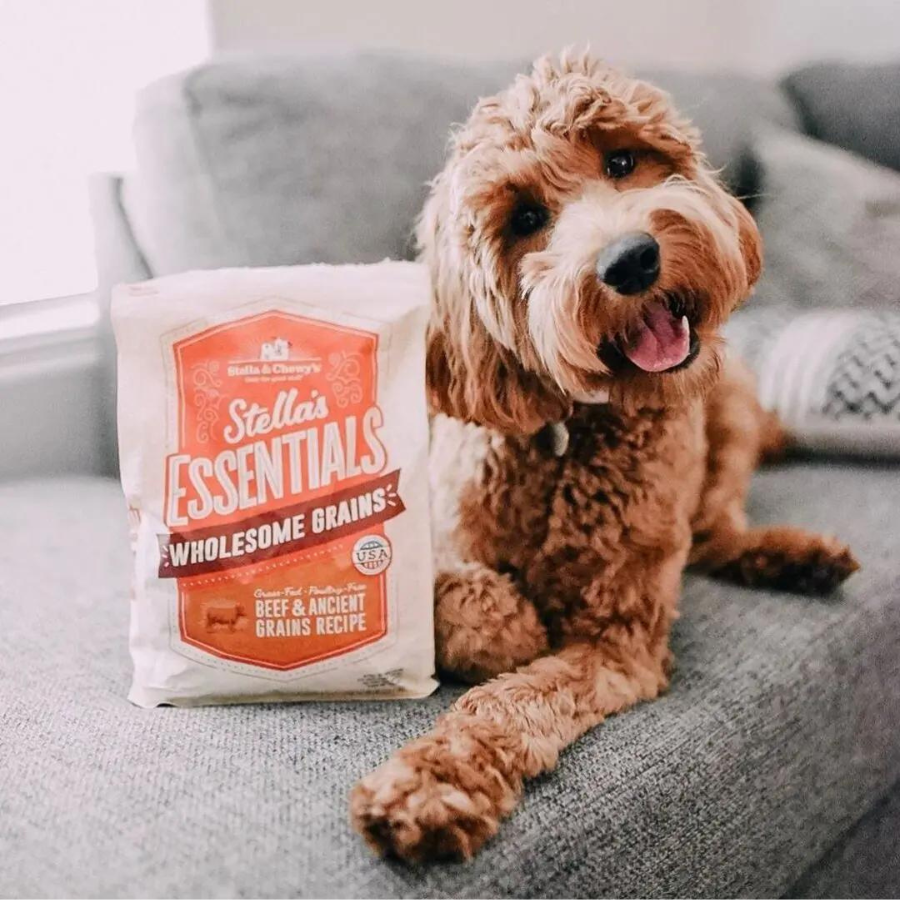 Stella & Chewy's Essentials Grass-Fed Beef & Ancient Grains Recipe Dog Food - Mutts & Co.