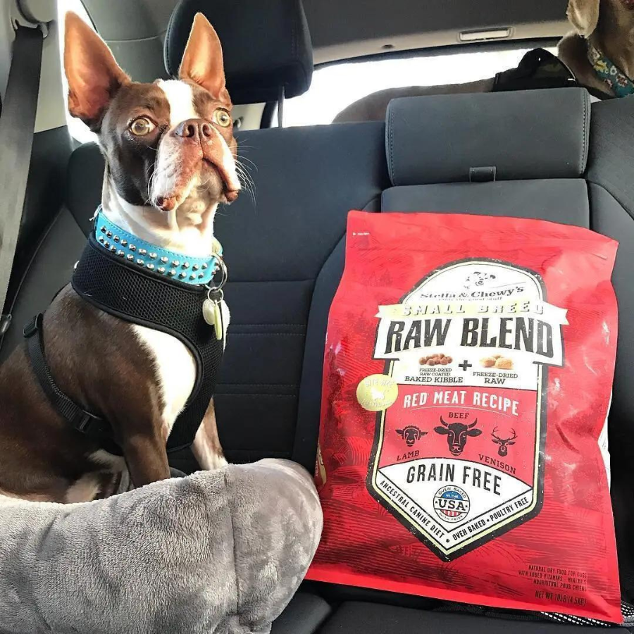 Stella & Chewy's Red Meat Recipe Raw Blend Small Breed Baked Kibble Dog Food - Mutts & Co.