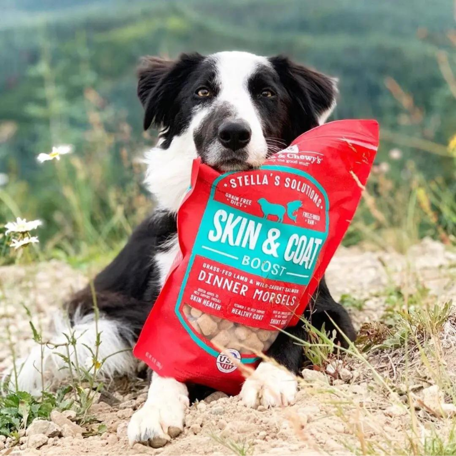 Stella & Chewy's Stella's Solutions Skin & Coat Boost Grass-Fed Lamb & Wild Caught Salmon - Mutts & Co.