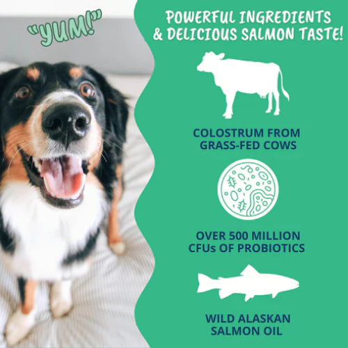 Under The Weather Vital Colostrum Squeezable Gel for Dogs 3.5oz