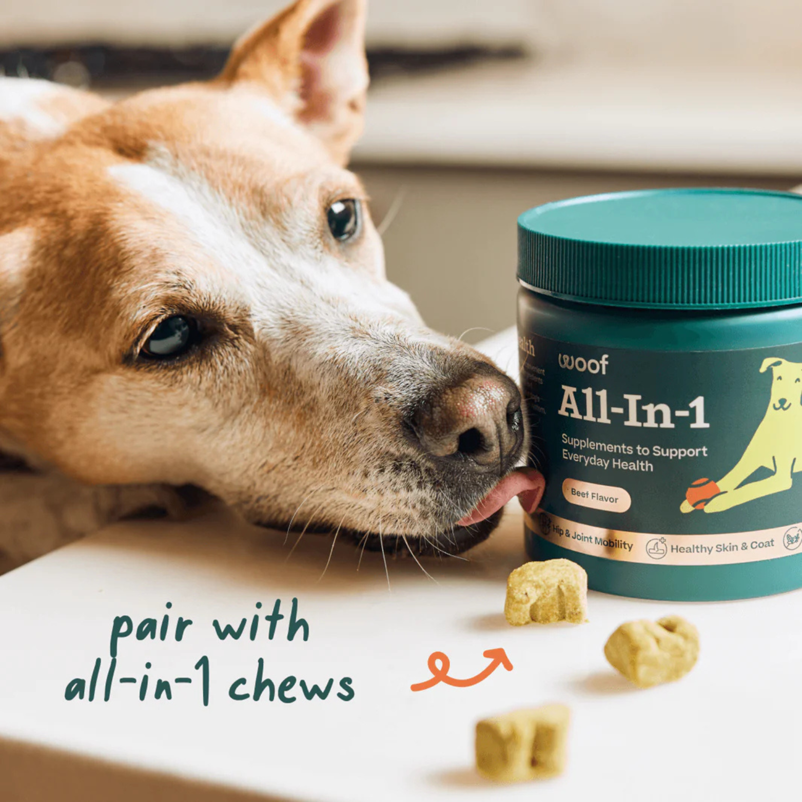 Woof Pet All in One Wellness Pops Dog Treat