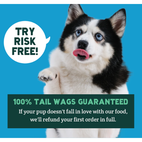 Black-and-white dog licking its lips and raising a paw against a blue background, with a speech bubble saying ‘Try Risk Free!’ and a banner below reading ‘100% Tail Wags Guaranteed’ with a money-back guarantee message.
