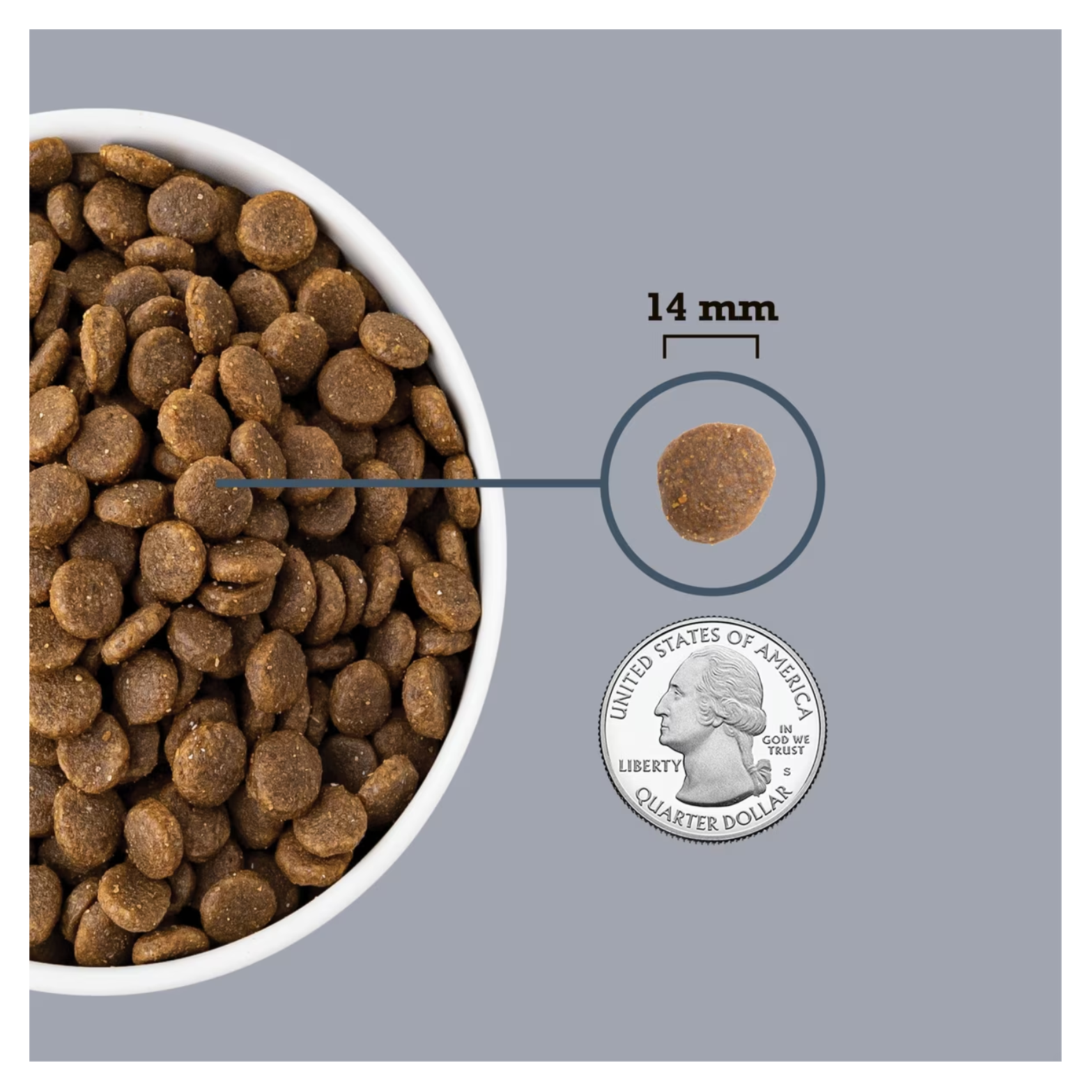 A white bowl filled with brown dog kibble shown next to a single kibble piece labeled “14 mm,” with a U.S. quarter coin included for size comparison on a gray background.
