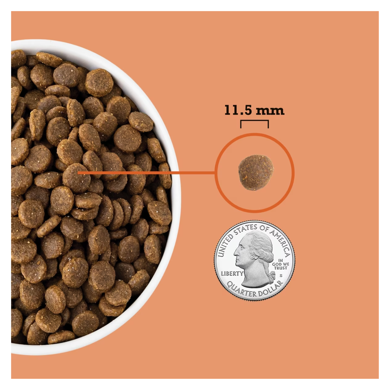 Close-up of puppy-sized kibble in a bowl with a single kibble enlarged and labeled “11.5 mm,” shown next to a U.S. quarter coin for size comparison.