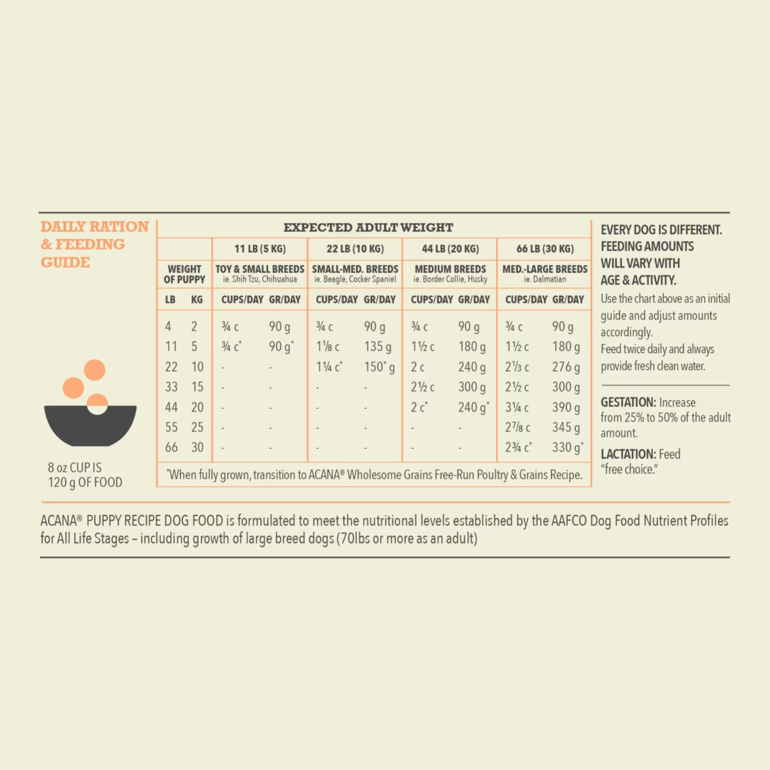 Daily ration and feeding guide chart for puppies showing recommended cups and grams per day based on puppy weight and expected adult size, with notes for gestation and lactation.