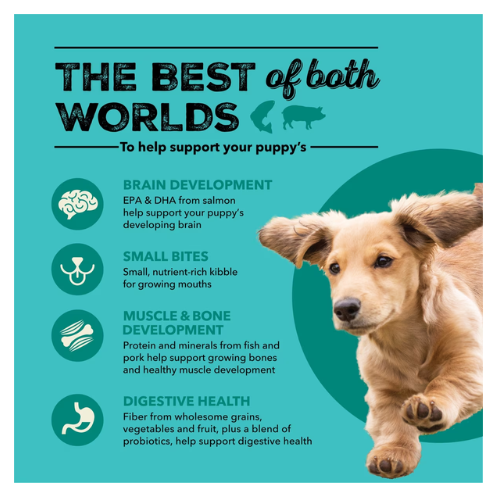 Graphic with a running puppy on the right and text reading ‘The Best of Both Worlds — To help support your puppy’s…’ followed by four benefits with icons: brain development (EPA & DHA from salmon), small bites, muscle and bone development, and digestive health from grains, vegetables, fruit, and probiotics.