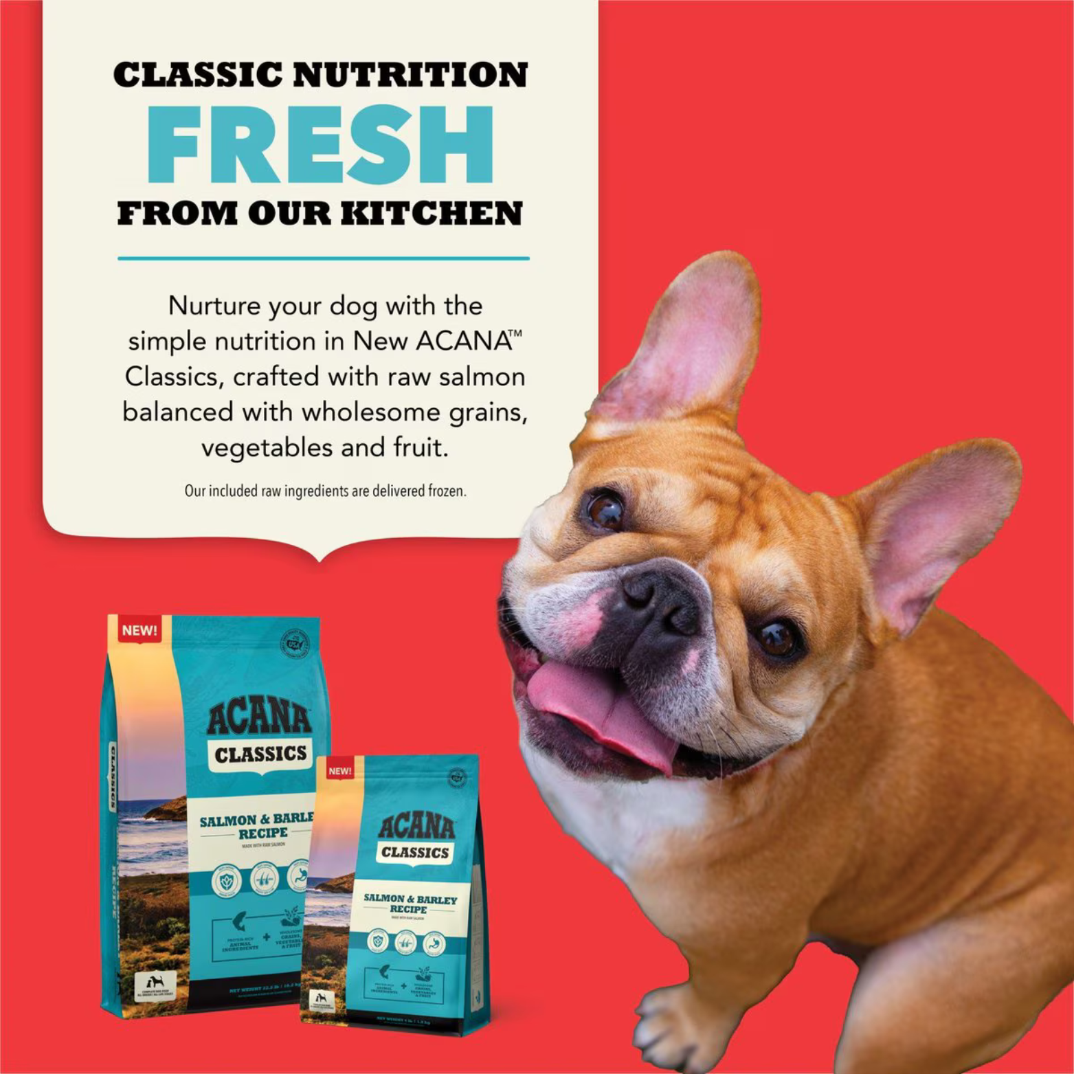 Acana Classics Salmon & Barley Recipe Dry Dog Food