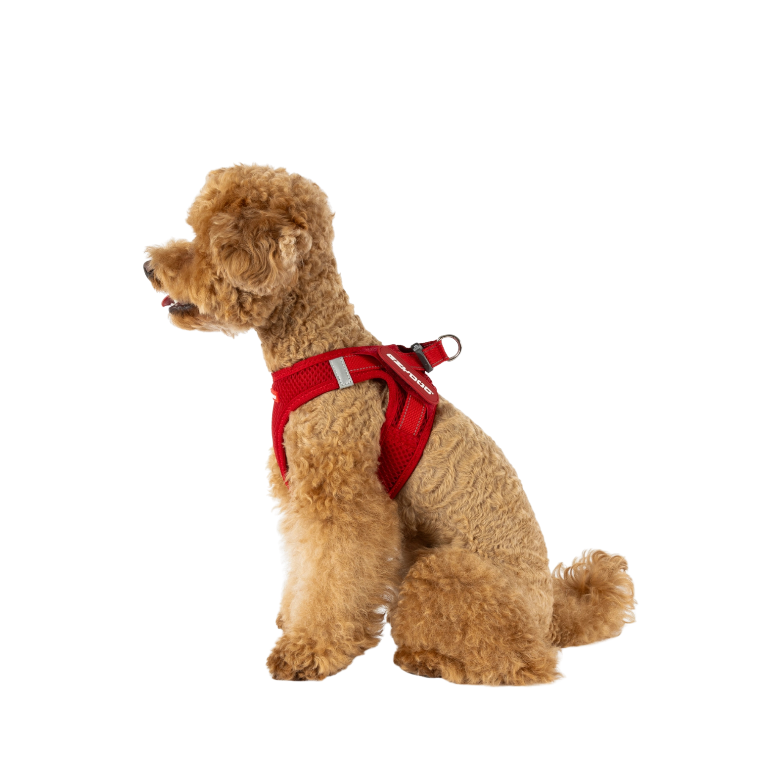 Ezydog Formfit Harness, Black