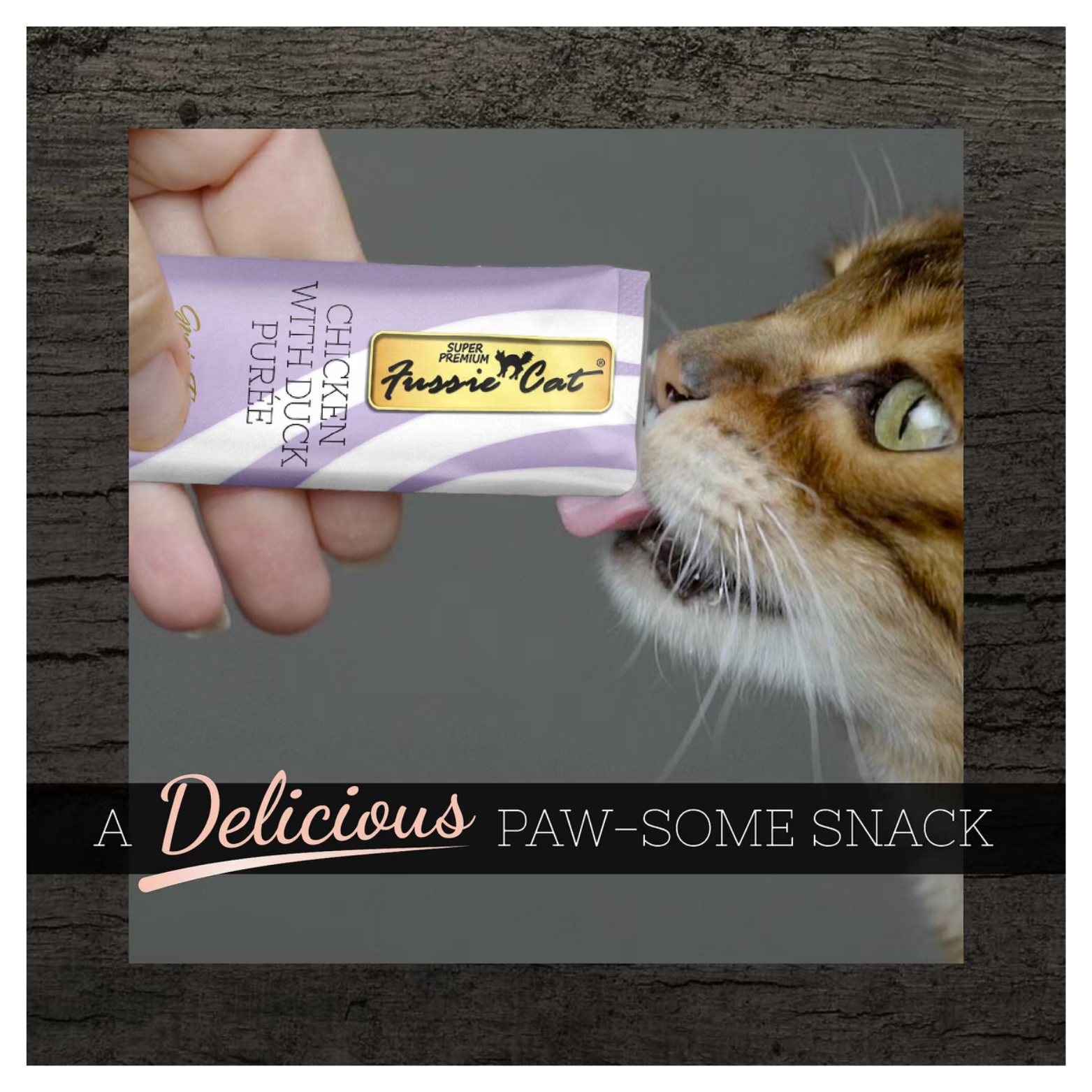 Close-up of a cat licking Fussie Cat Chicken with Duck Purée directly from a squeeze tube held by a person, with text describing it as a delicious snack.