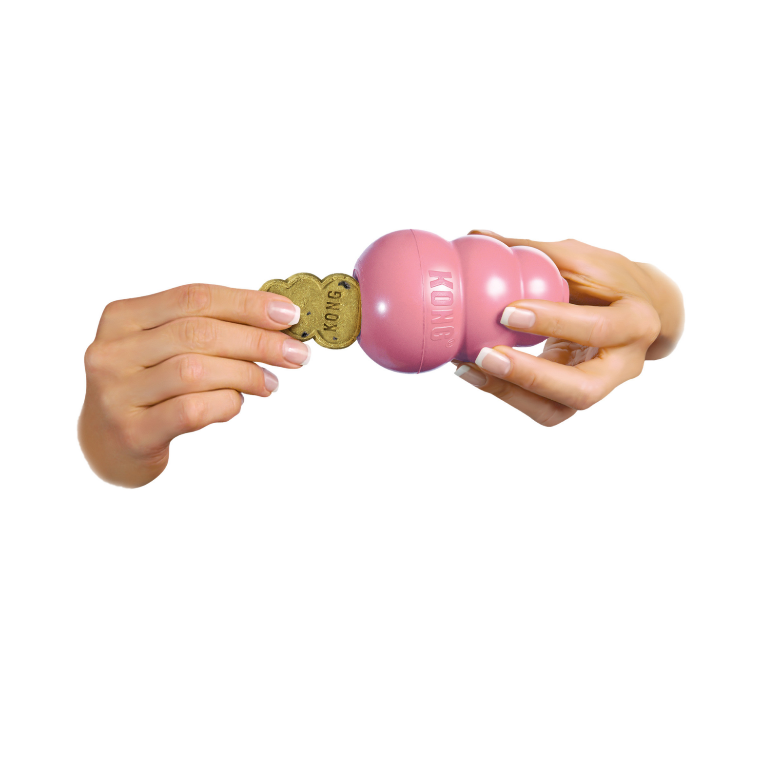 Two hands inserting a KONG-shaped puppy treat into a pink rubber KONG toy, illustrating how the treat fits inside the toy.