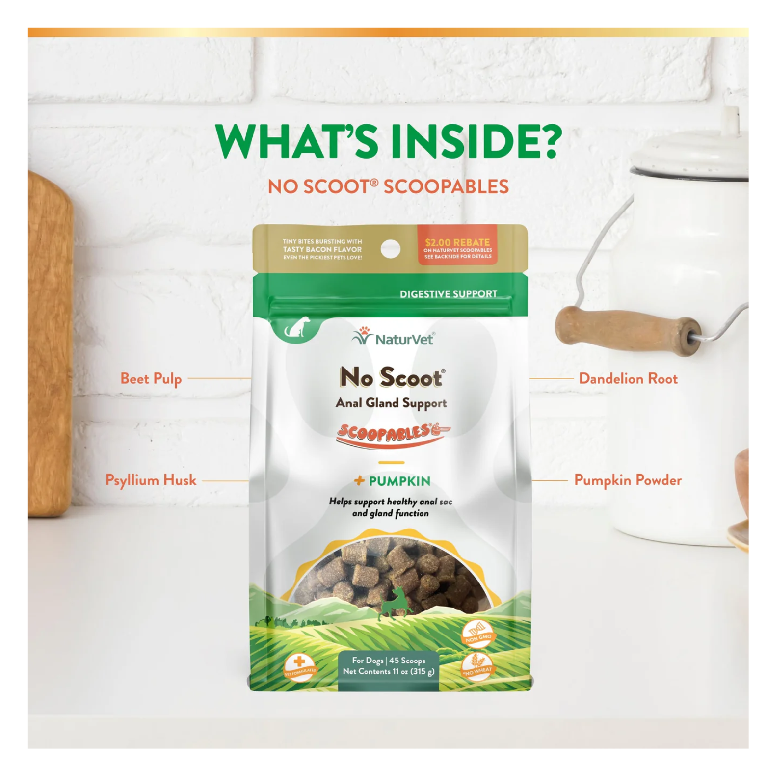 Ingredient overview image titled “What’s Inside?” showing the No Scoot Scoopables pouch centered, with callouts for beet pulp, psyllium husk, dandelion root, and pumpkin powder.