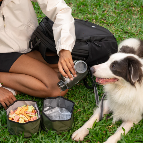 OllyDog Superbowl Collapsible Travel Dog Bowl