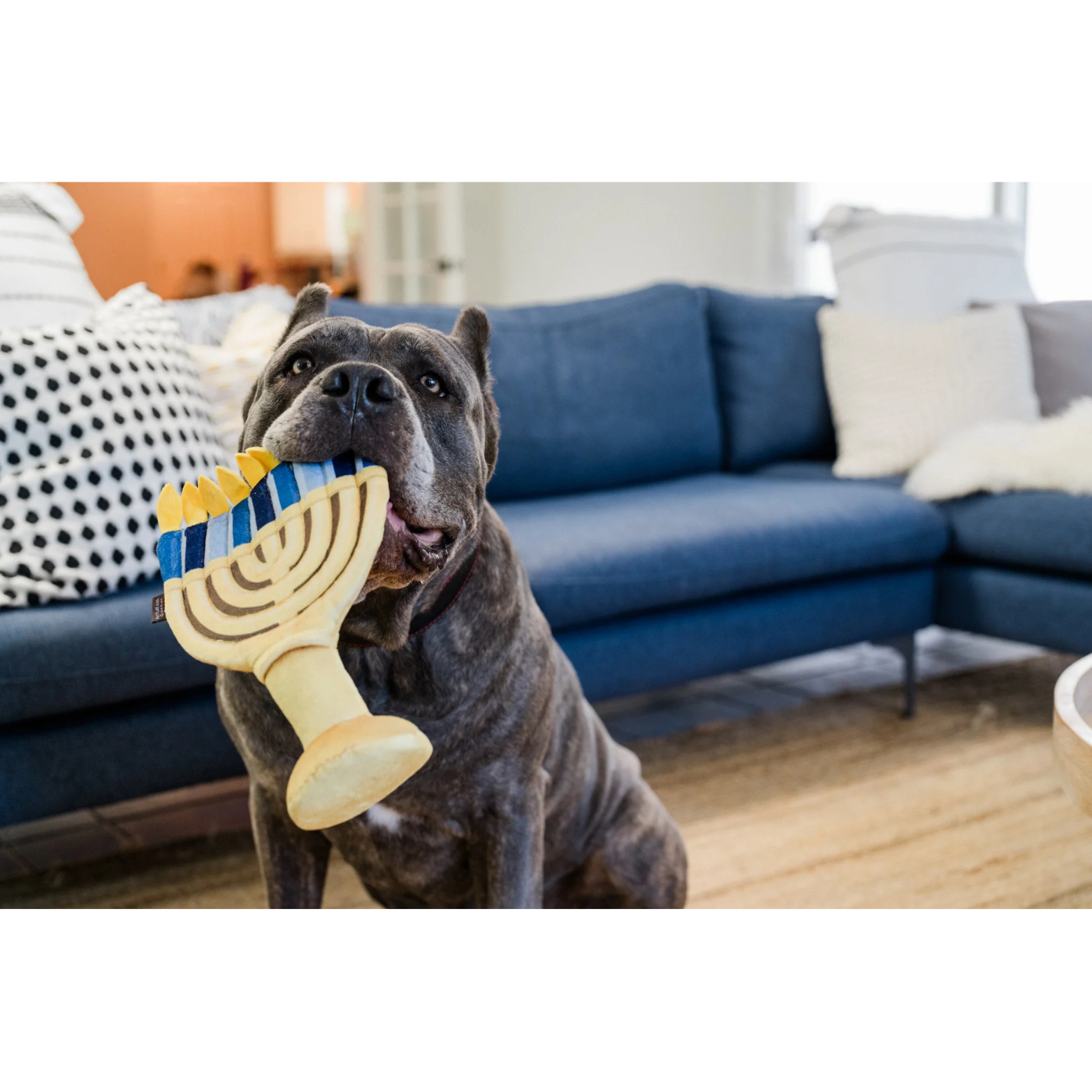 P.L.A.Y. Pet Lifestyle and You Paw-Nukkah Menorah Dog Toy