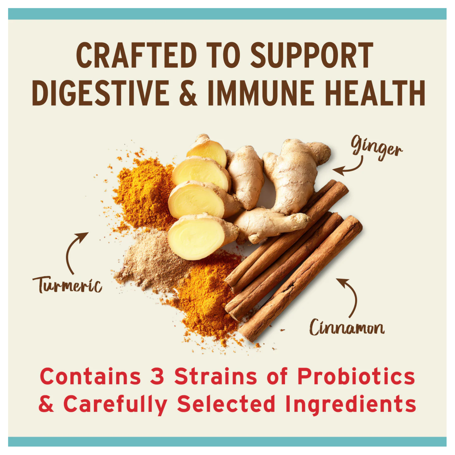 Graphic featuring turmeric powder, fresh ginger root, and cinnamon sticks with text explaining digestive and immune health support and probiotic content.