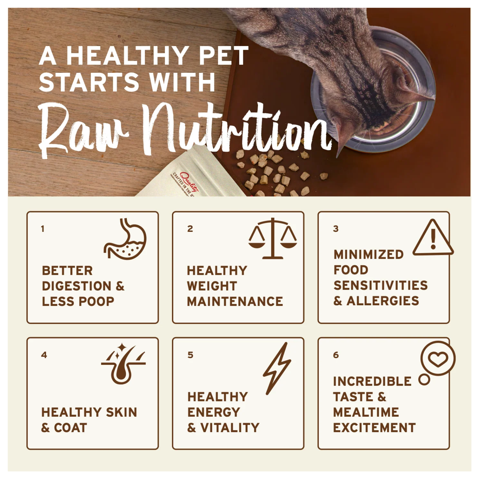 Top view of a tabby cat eating from a metal bowl with raw nuggets nearby and text stating benefits of raw nutrition for pets.