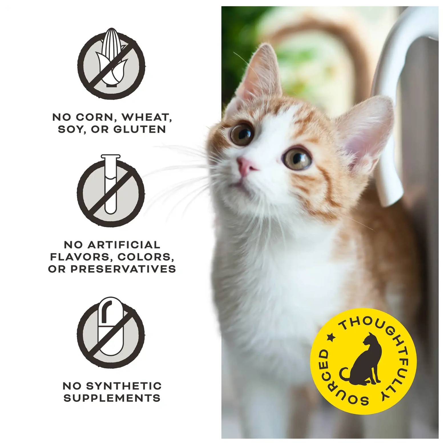 An image featuring a white and orange tabby cat looking upward. To the left, three "no" icons indicate the product contains:

No corn, wheat, soy, or gluten.

No artificial flavors, colors, or preservatives.

No synthetic supplements.
A yellow badge in the corner reads "Thoughtfully Sourced."