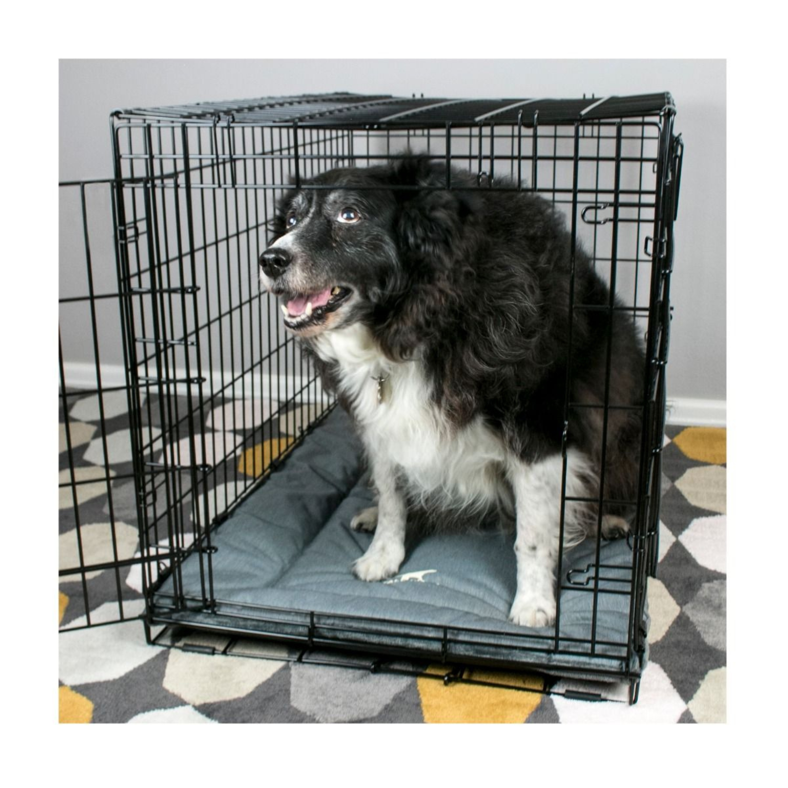 Tall Tails Dream Chaser Classic Dog Crate Bed Charcoal