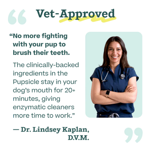 Woof Pet Treat Mix Dental Refills Dog Treat 5.5 oz