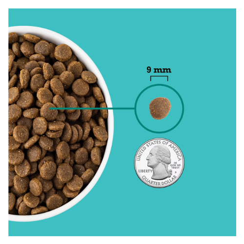 Close-up of small round kibble pieces in a bowl with one kibble enlarged and labeled as 9 mm in diameter, shown beside a U.S. quarter for size comparison.