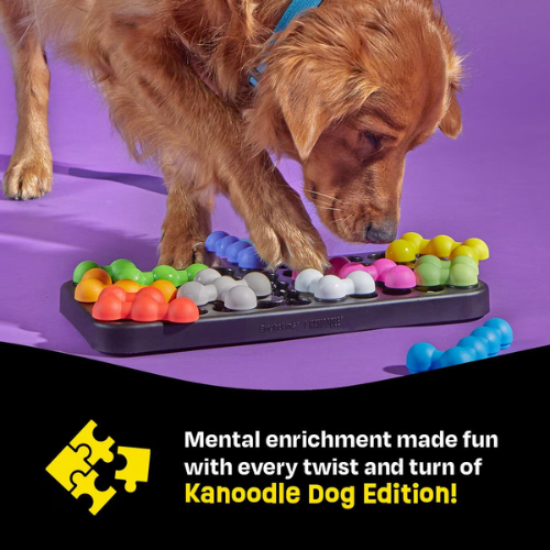 Brightkins Dog Kanoodle Interactive Treat Puzzle Dog Toy