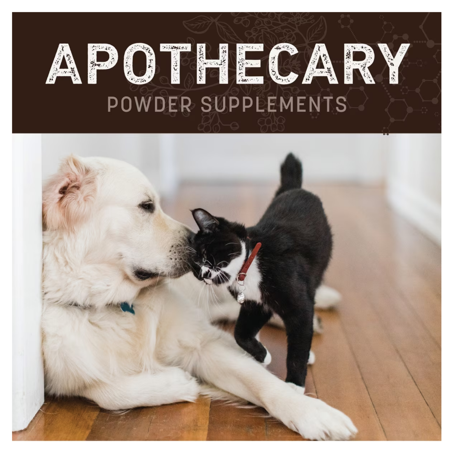 Promotional image of a light-colored dog lying on a hardwood floor while a black-and-white cat rubs against the dog’s face, labeled “Apothecary Powder Supplements.”