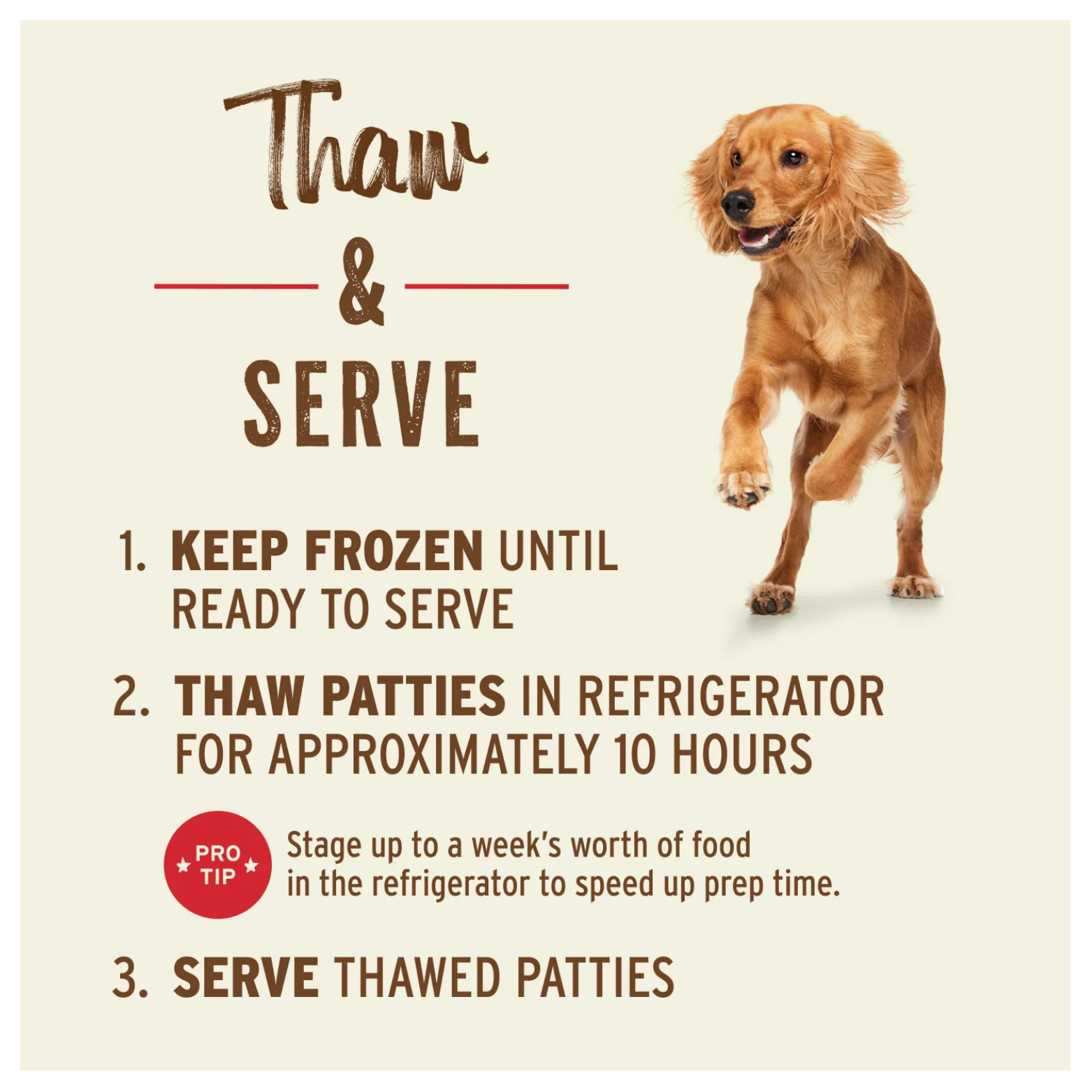Instructional graphic with steps for keeping patties frozen, thawing in the refrigerator for about 10 hours, and serving, next to an image of a golden-brown dog.