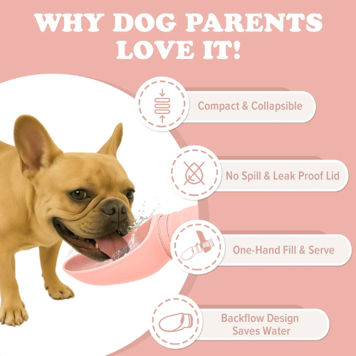 Puppington Collapsible Silicone Dog Water Bottle