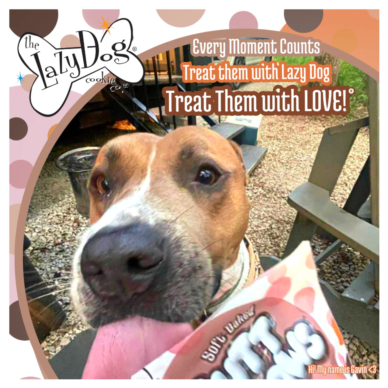 Close-up of a happy dog outdoors with its tongue out, holding a Sweetie S’mores Mutt Mallows treat near the camera, alongside text reading “Every Moment Counts—Treat them with Lazy Dog, Treat Them with LOVE!”