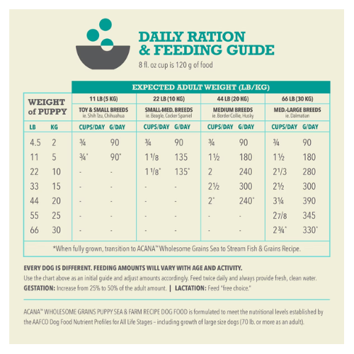 ACANA Wholesome Grains Puppy Sea & Farm Recipe daily ration and feeding guide chart, showing recommended cups per day based on puppy weight and expected adult weight categories (11 lb, 22 lb, 44 lb, and 66 lb). The chart lists feeding amounts in cups and grams per day, with notes stating that every dog is different, fresh water should always be provided, and to transition to adult formulas once fully grown.