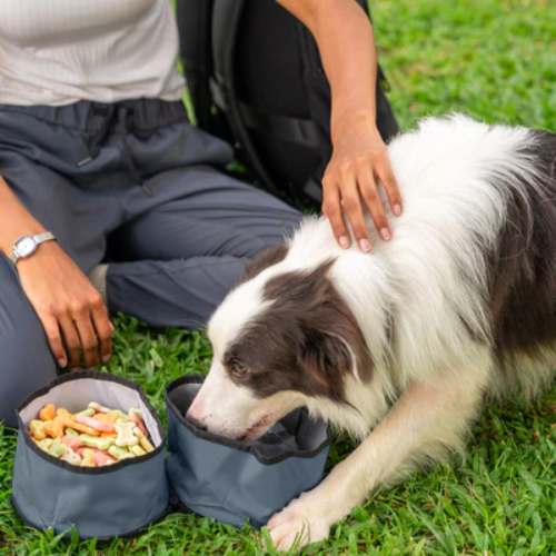 OllyDog Superbowl Collapsible Travel Dog Bowl