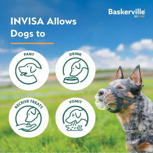 Baskerville INVISA Dog Basket Muzzle