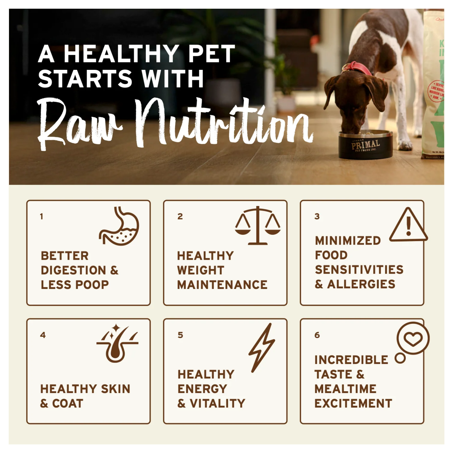 A brown and white dog eating from a bowl on a wooden floor next to a bag of Primal dog food. Text reads “A healthy pet starts with raw nutrition,” with icons describing benefits like better digestion, healthy weight, fewer allergies, healthy coat, more energy, and improved taste.