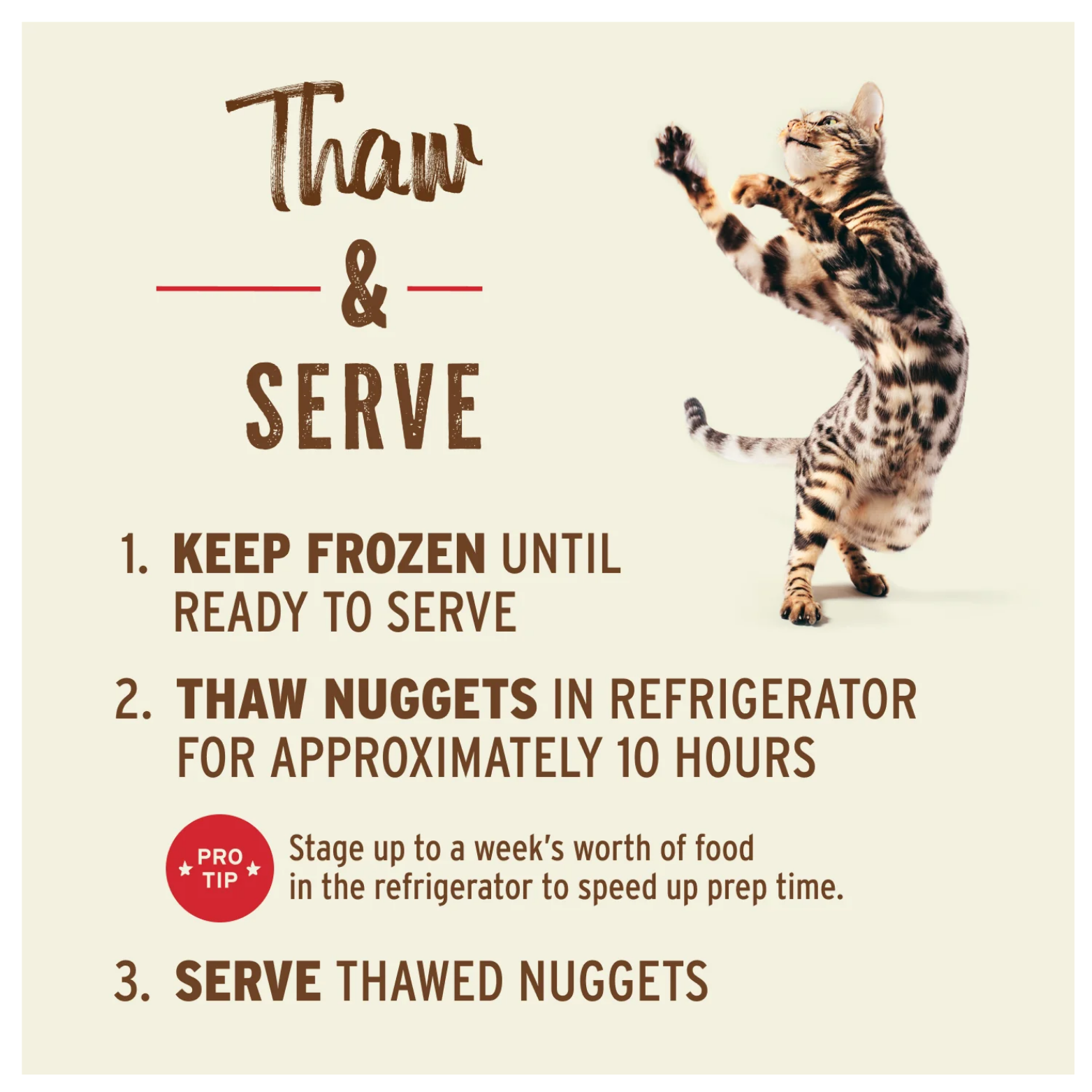 Instruction graphic titled “Thaw & Serve” with steps: keep frozen until ready, thaw in refrigerator for about 10 hours, and serve thawed nuggets; includes an image of a cat standing upright.