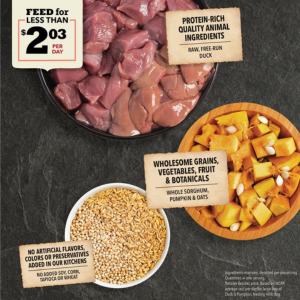 Top-down photo of raw duck pieces, pumpkin cubes, oats, and grains arranged in bowls, with callouts describing protein-rich animal ingredients and wholesome grains, vegetables, fruits, and botanicals.