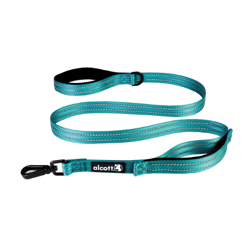 Alcott Traffic Leash Blue