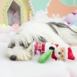 BARK Santa's Chimney Shimmy Plush Dog Toy - Mutts & Co.