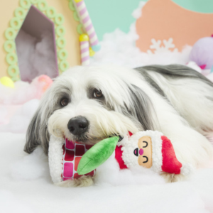 BARK Santa's Chimney Shimmy Plush Dog Toy - Mutts & Co.