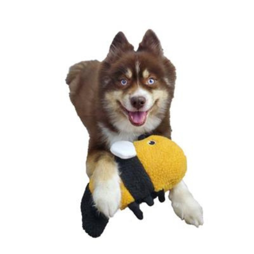 Barker's Bowtique Wildlife Collection Bobby The Bumblebee Dog Toy