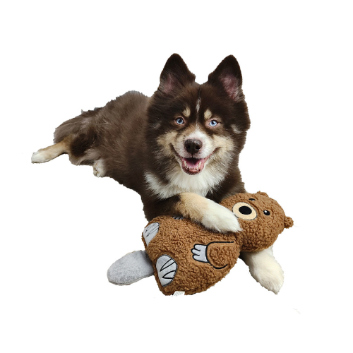 Barker's Bowtique Wildlife Collection Theo the Beaver Dog Toy