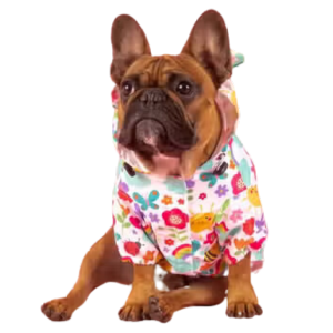 Big and Little Dogs Follow The Rainbow Raincoat for Dogs - Mutts & Co.