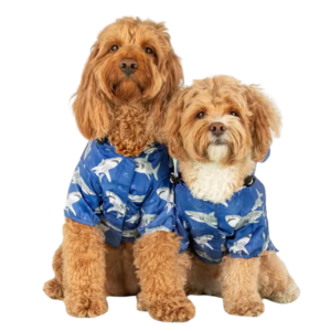 Big and Little Dogs Jaw Ready For This? Raincoat for Dogs - Mutts & Co.