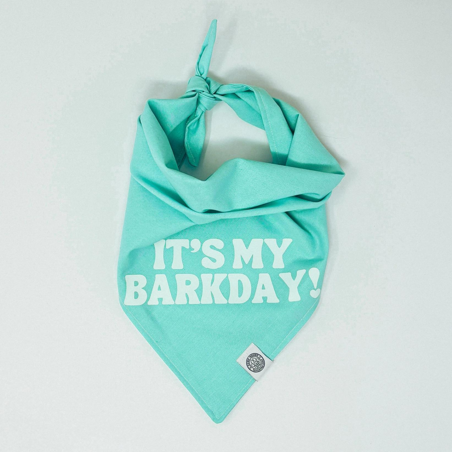 Camp Hound It's My BarkDay Dog Bandana Teal