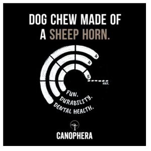 Canophera Sheep Horn (Whole) Dog Chew