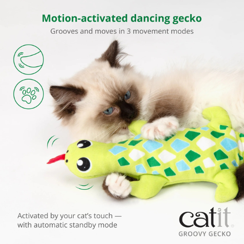 Catit Groovy Gecko Catnip Cat Toy